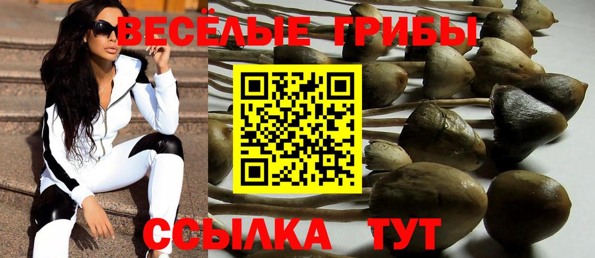 Галлюциногенные грибы Magic Shrooms Торжок